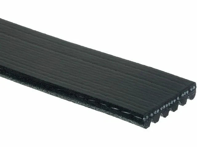 Multi Rib Belt for Mazda 6 (2003–2005) T769XM