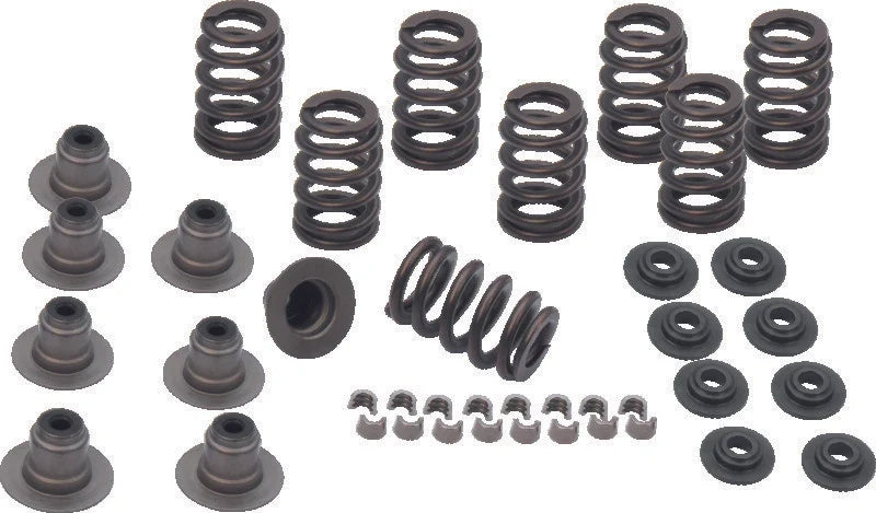 Valve Spring Kit for S&S Cycle M8 Models (2017–Present) - .605in