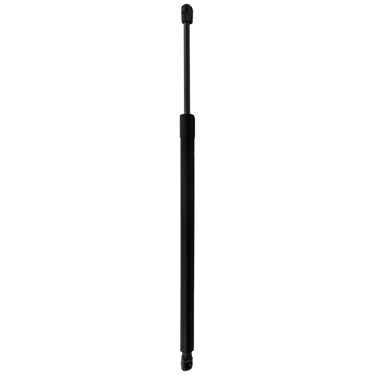 Lift Support for Tailgate - Lexus NX250 (2022 to 2023)