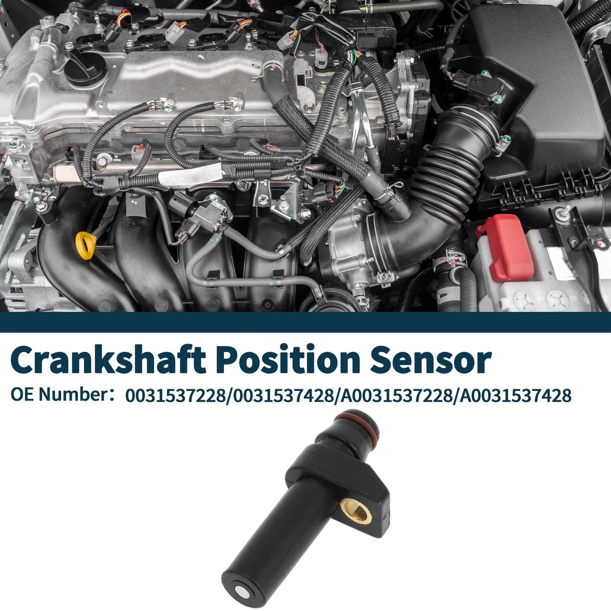 Crankshaft Position Sensor for Mercedes-Benz S320 (1996–1999) No. 0031537228