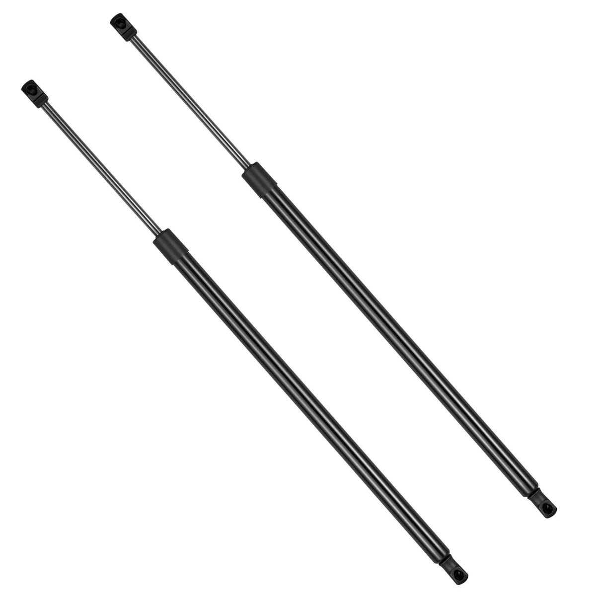 Rear Trunk Shocks Lift Supports - 2Pcs for Dodge Challenger 2009–2010