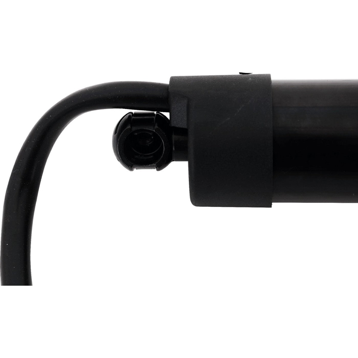 Liftgate Supports for Toyota RAV4 Prime Model