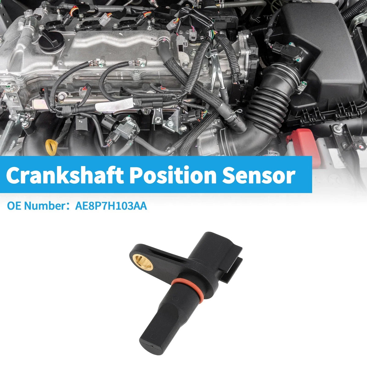Crankshaft Position Sensor for Ford C-MAX (2014–2016) AE8P7H103AA