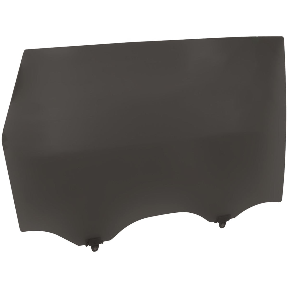 Door Glasses Set of 2 for Nissan