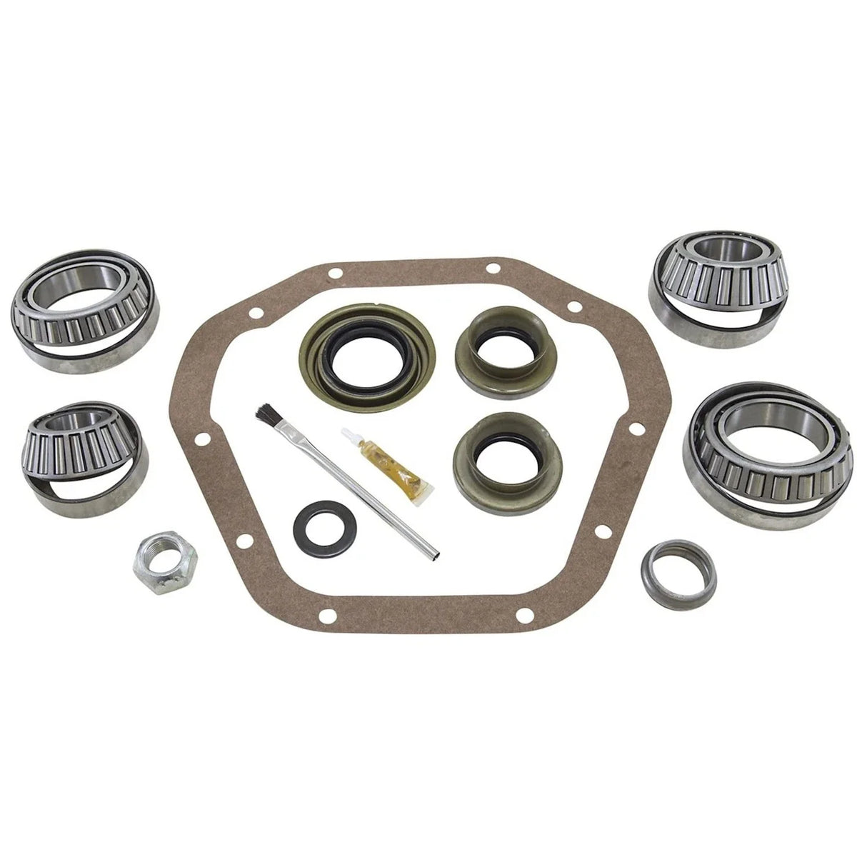 Rebuild Kit for Differential - Ram Truck