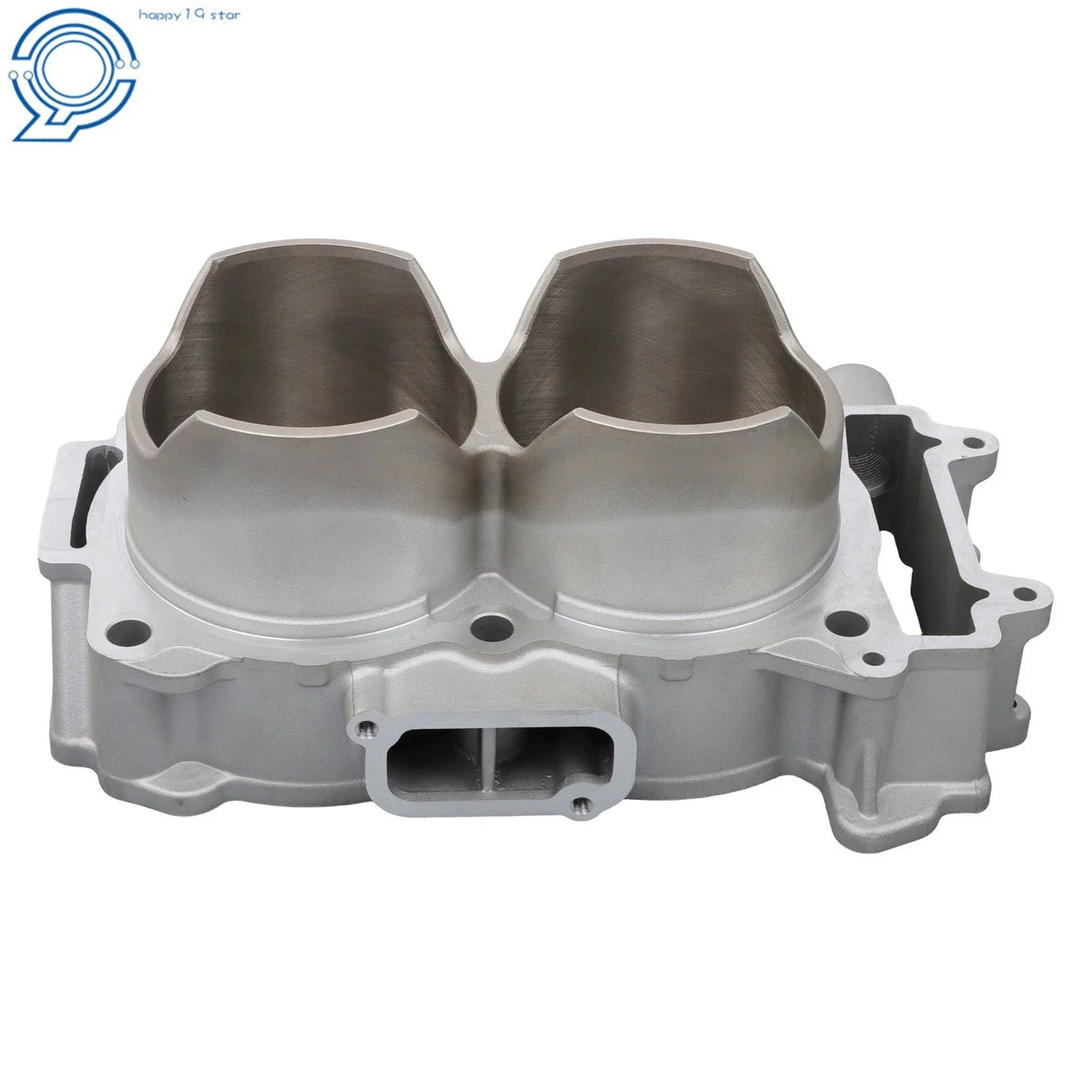3022278 Engine Cylinder 93mm Bore for Polaris RZR XP 900 (2013–2014)