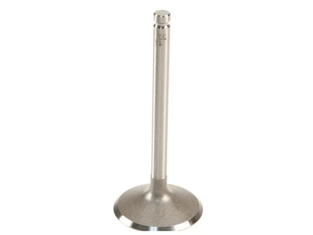 Intake Valve for Jaguar XKE 4.2L 6 Cyl (1961–1971) BN361MF