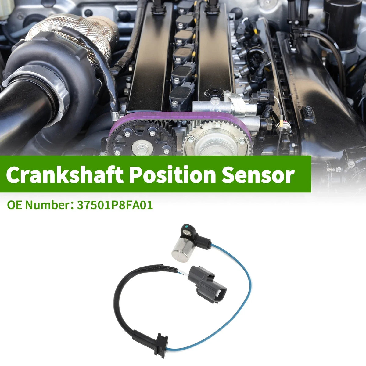 Crankshaft Position Sensor for Honda Odyssey (1999–2004) No. 37501P8FA01
