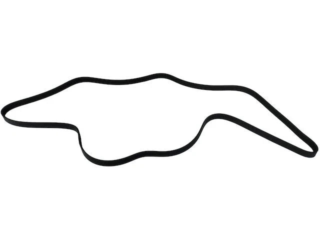 Accessory Drive Multi Rib Belt for Jaguar F Type (2018–2019) JD152HS