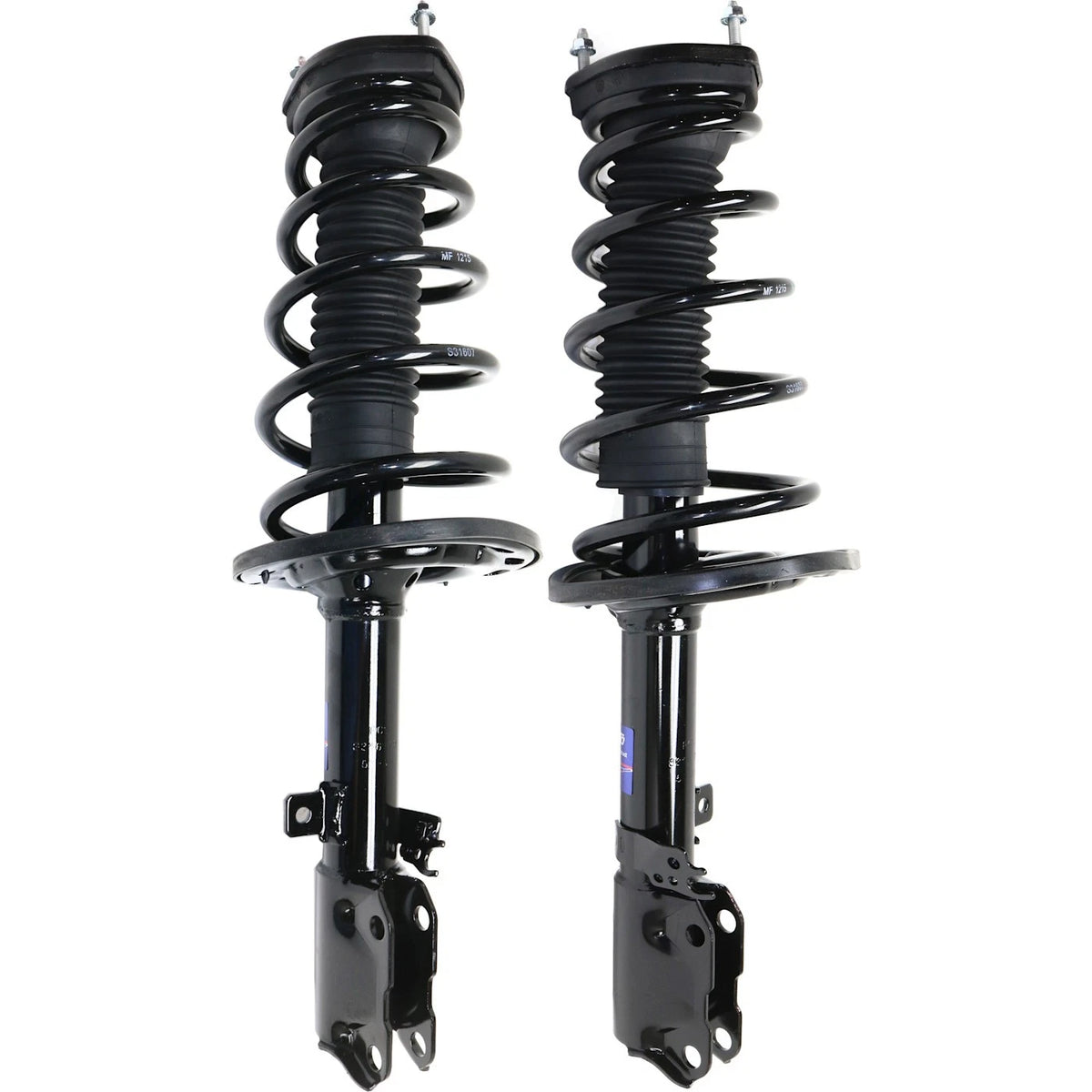 Strut Set of 2 for - Rear Left Right Pair