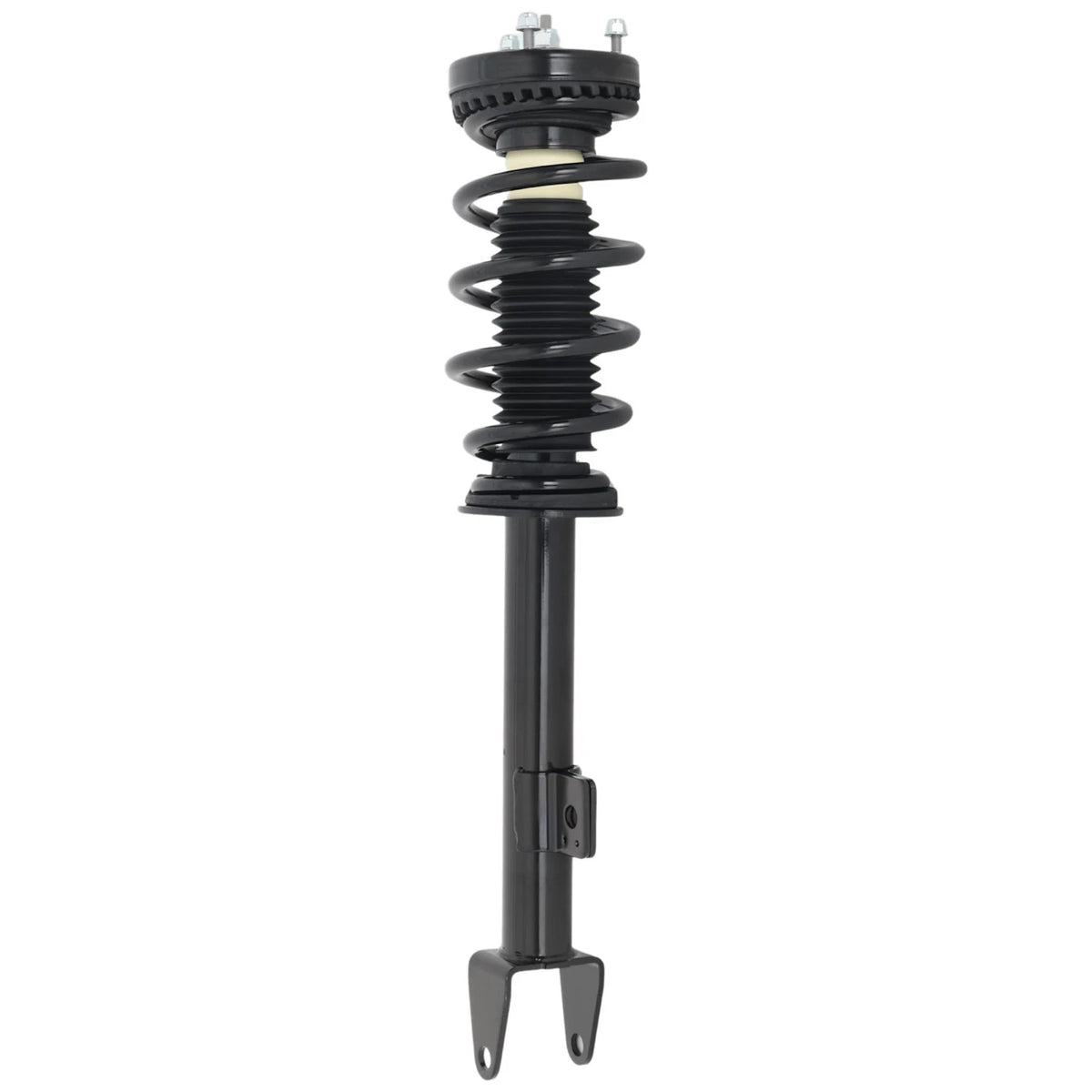 Set of 2 Loaded Struts
