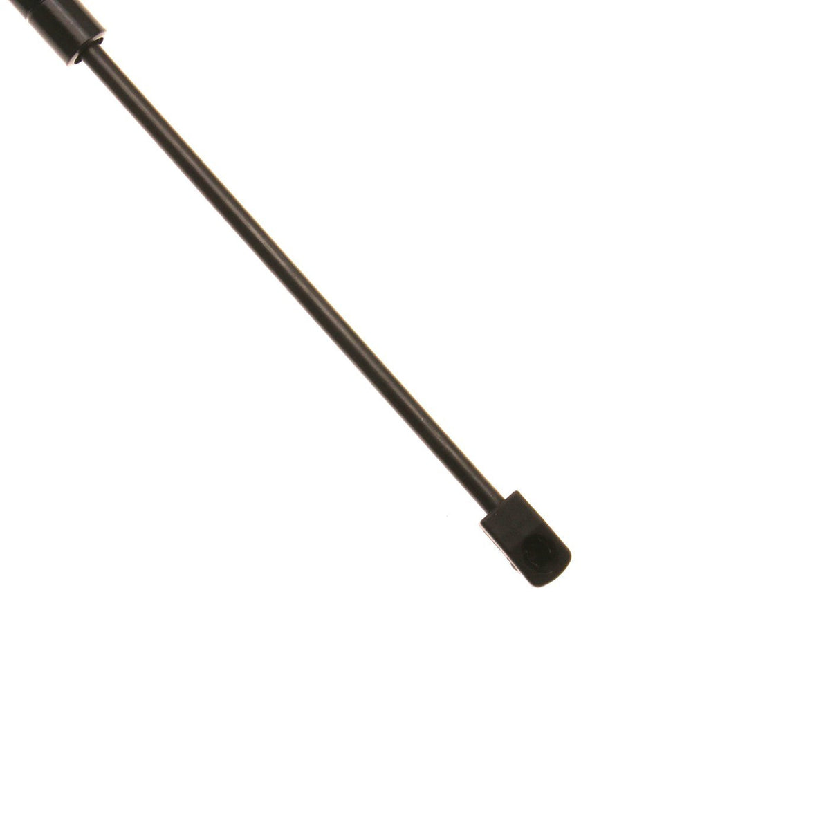 Hood Struts for Ford Ranger (2019–2023)