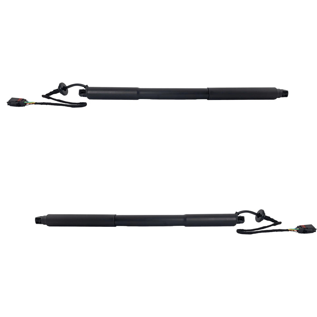 Set of 2 Liftgate Lift Supports for