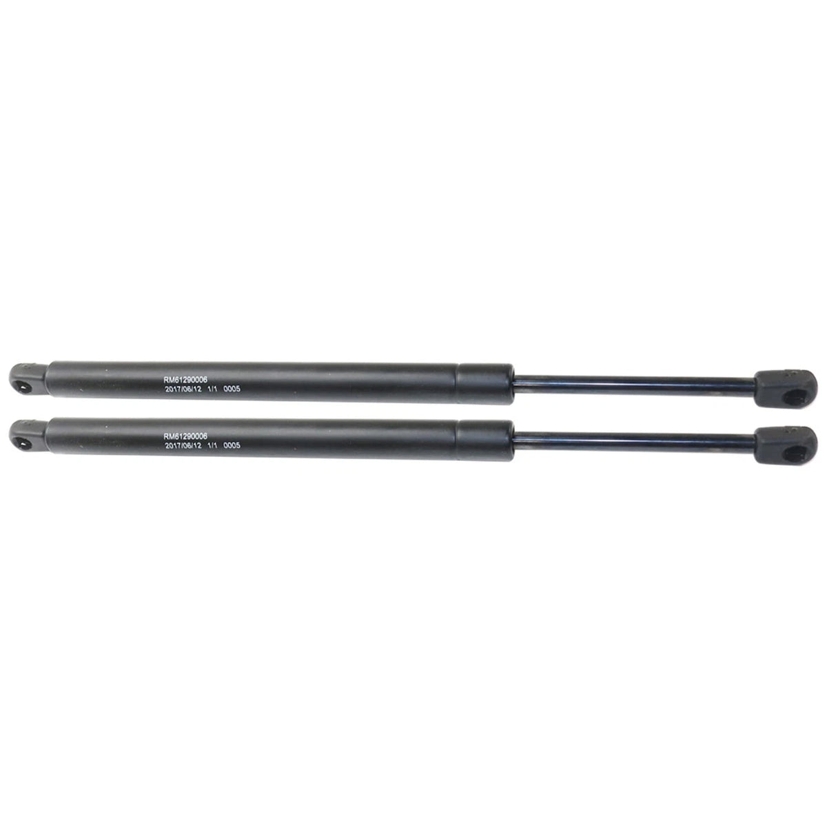 Trunk Lid Lift Supports Set of 2 for Driver & Passenger Side