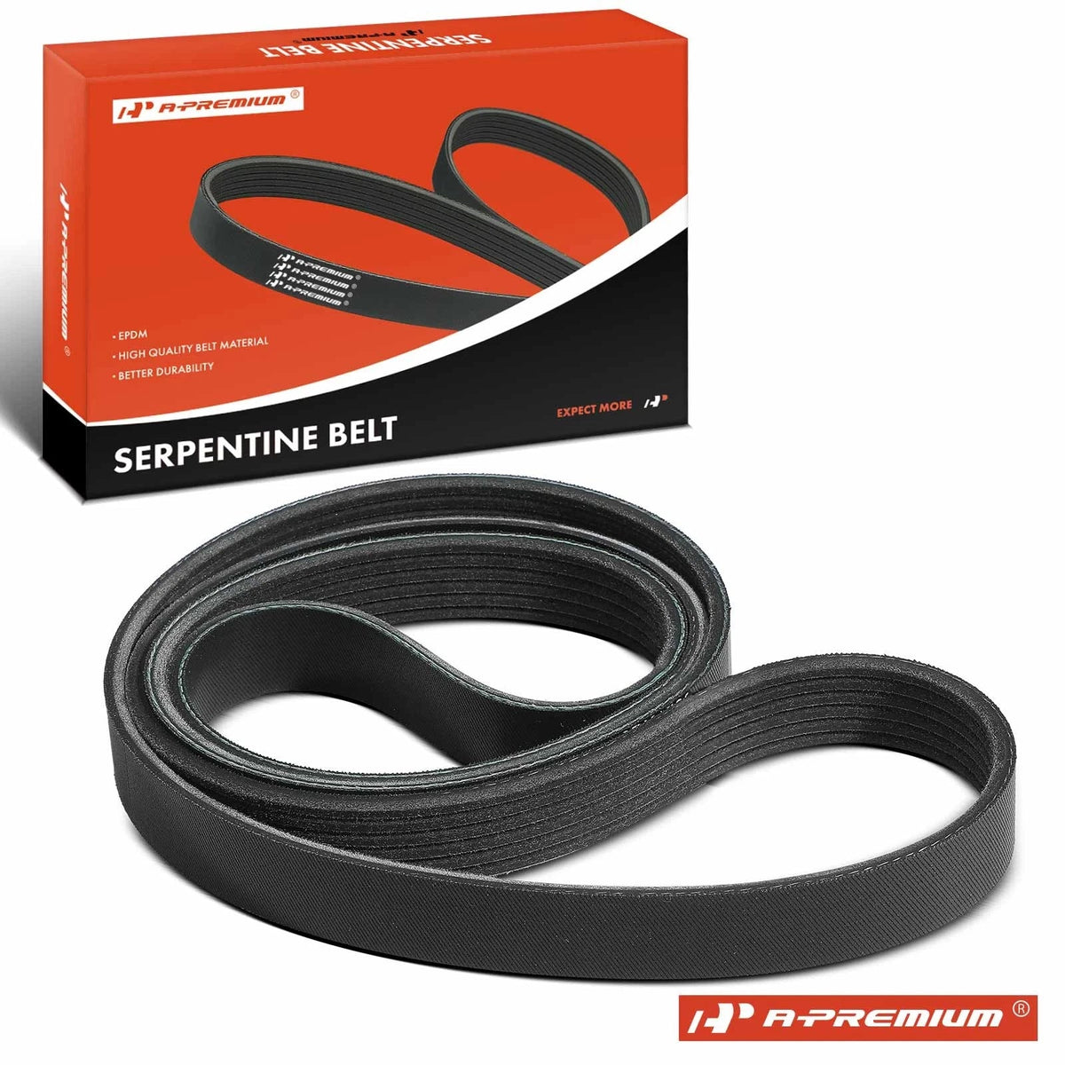 Serpentine Belt for Ford Fusion (2014–2017)