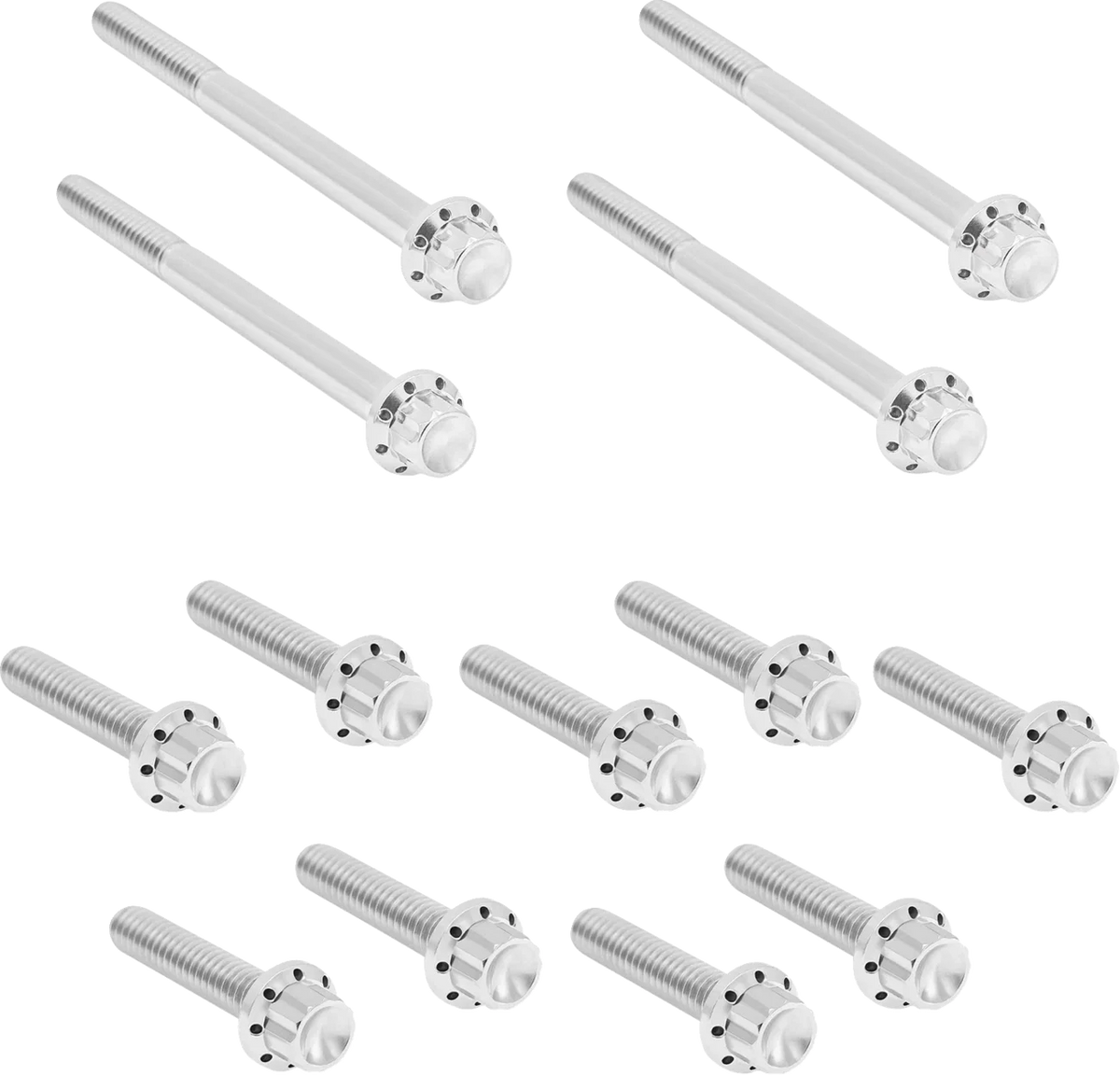 Bolt Kit for Harley Davidson Softail - Titanium 12-Point