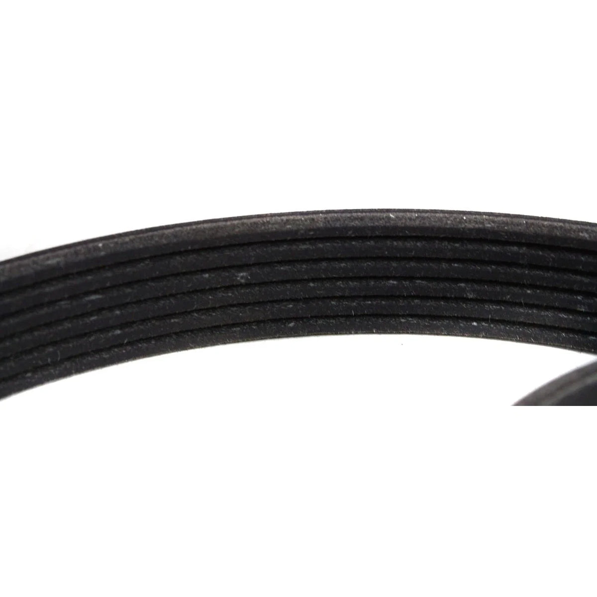 Drive Belt for Ranger (1997-2011)