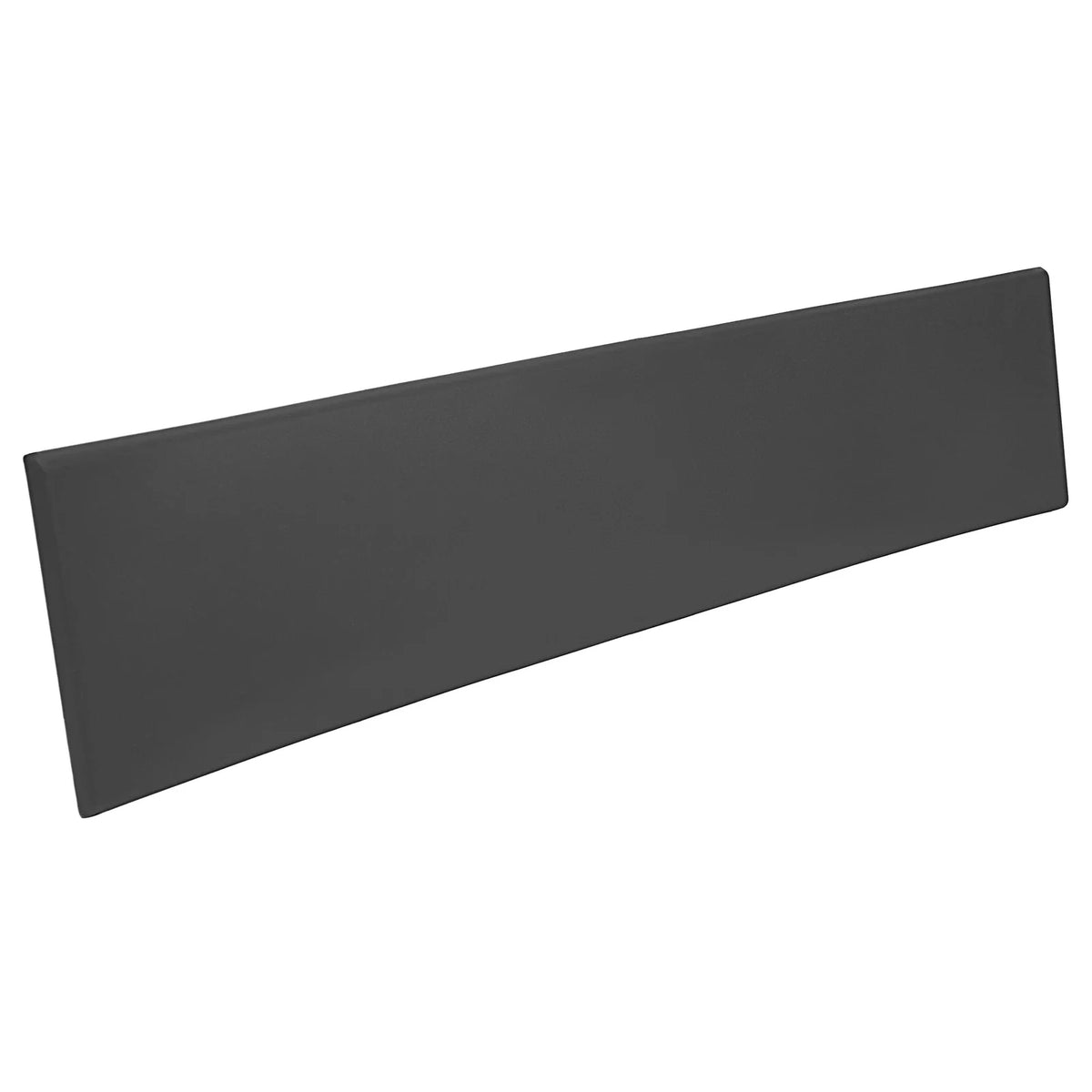 Passenger Side Rear Door Molding Trim for Ram Promaster Van (2019–2022)