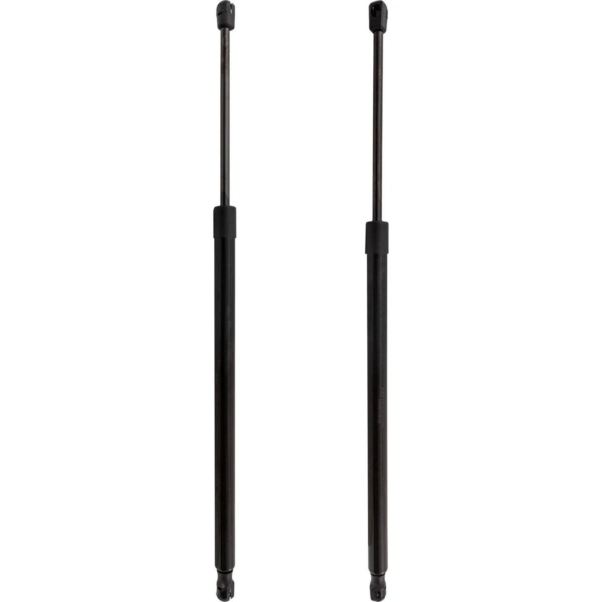 Liftgate Struts for Ford Escape - Set of 2