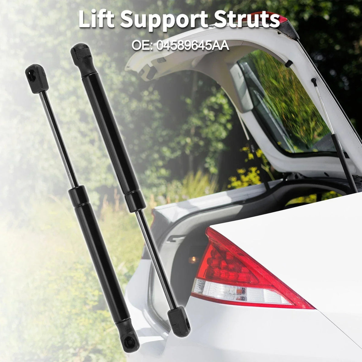 2 Lift Supports for Rear Hatch - Dodge Challenger 2008-2021