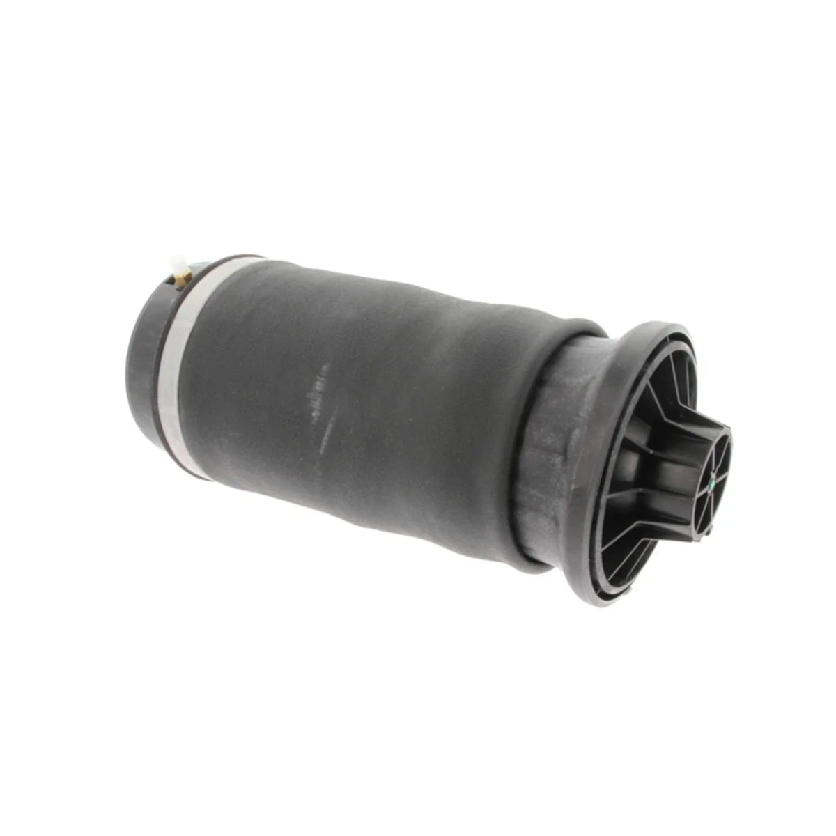 Shock and Strut Air Spring for Mercedes-Benz (Rear Driver/Passenger Side)