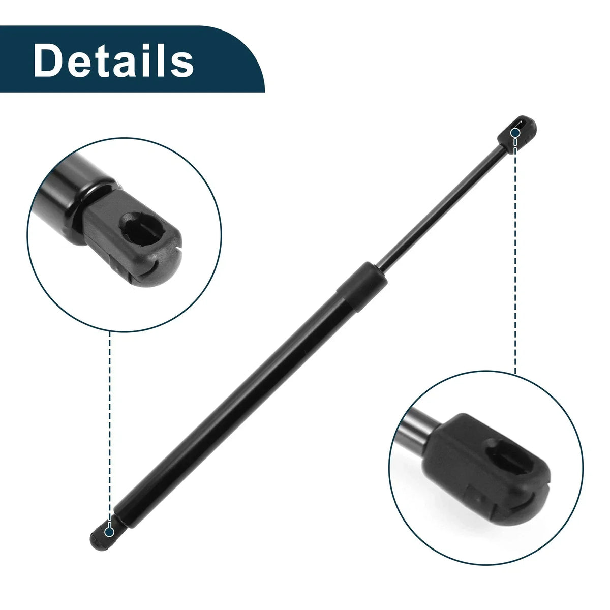 Lift Supports for Rear Gate on Dodge Magnum 2005-2010