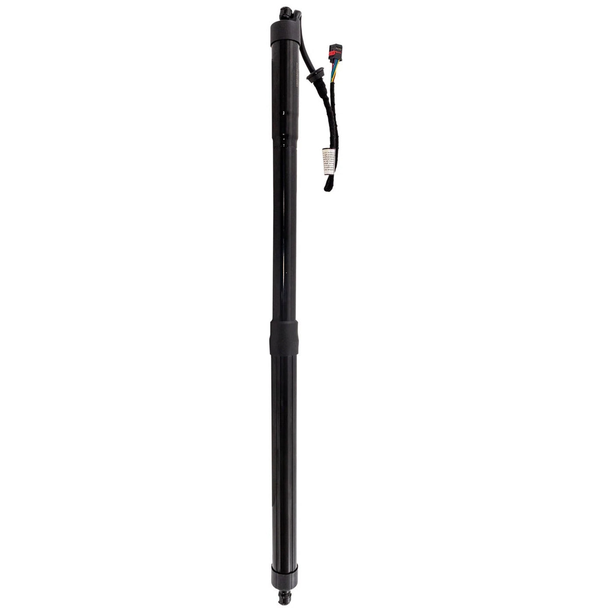 Hatch Lift Support for Ford C-Max (2013–2018) Passenger Right Side 2359182