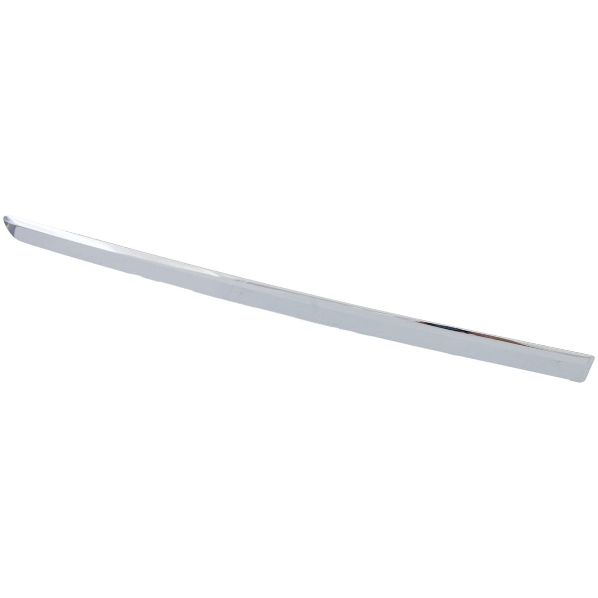 Rear Door Molding (Passenger Side) for Buick