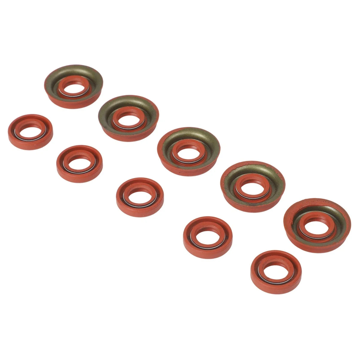 Complete Oil Seal Kit for Gubeter 2500 Chainsaw (25CC)