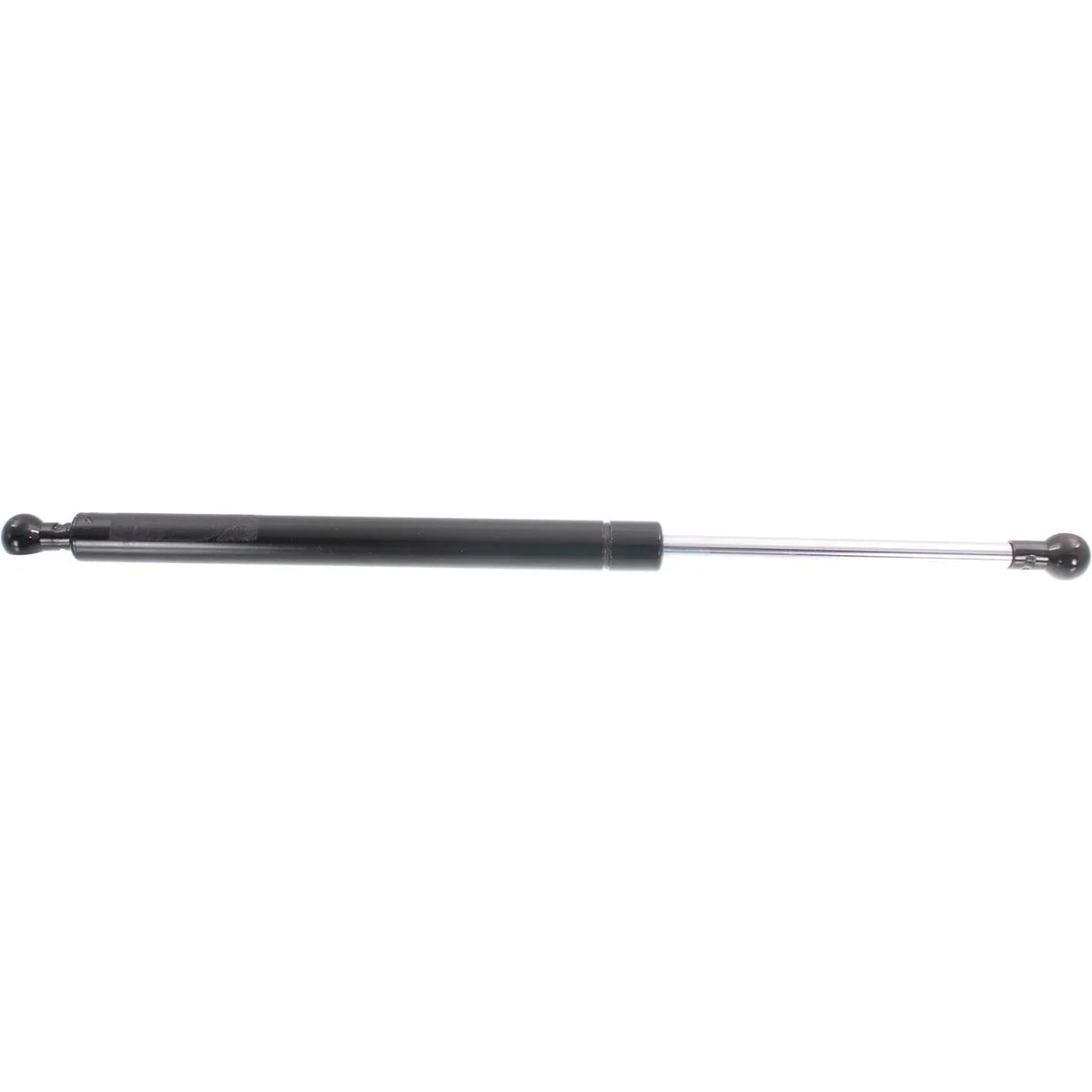 Lift Support for Maxima Nissan 1995-1999