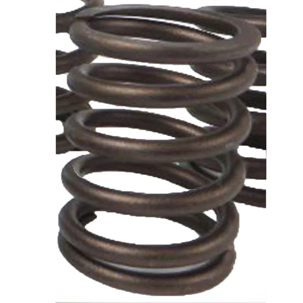 Inner Valve Spring for Caterpillar Industrial Construction (1944902)