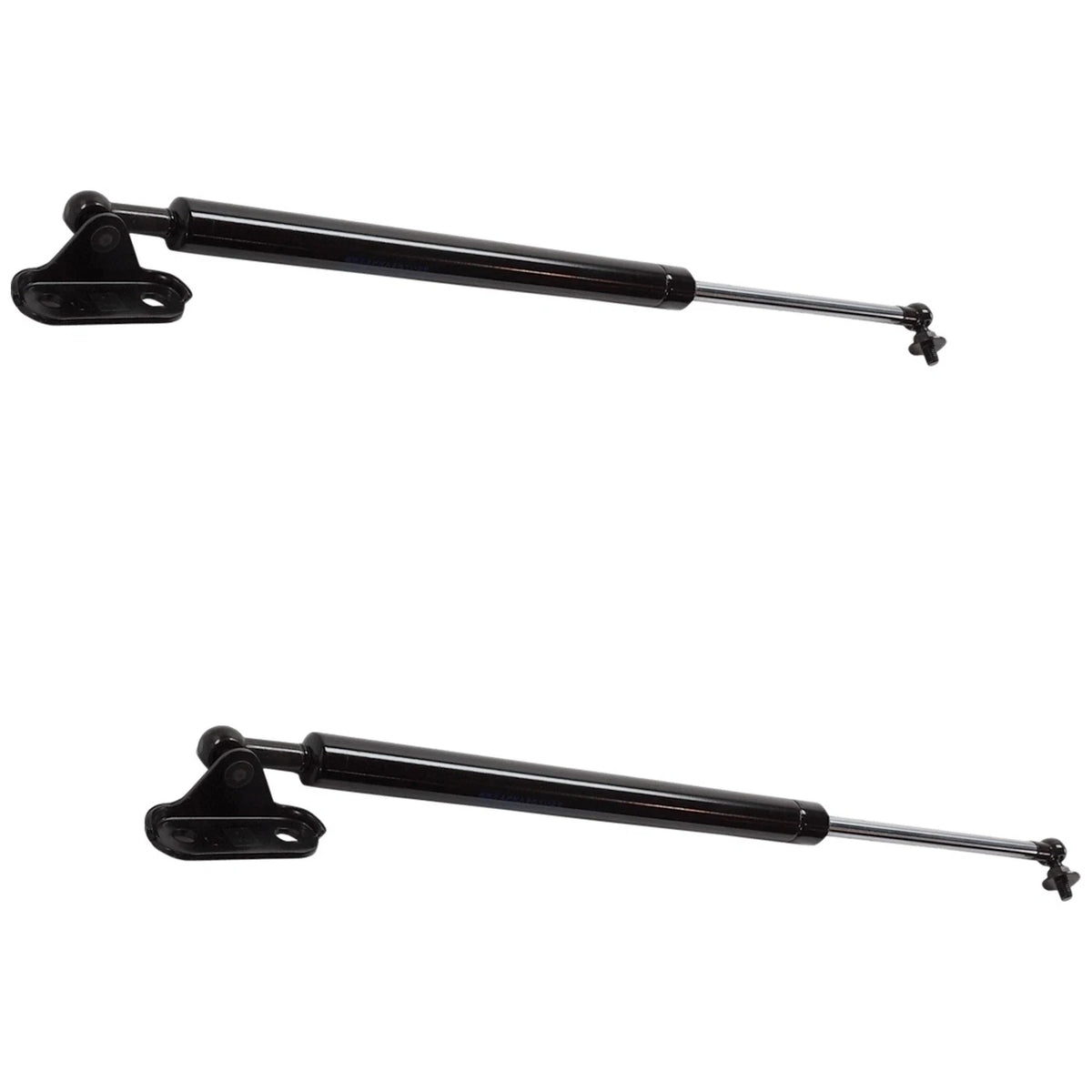 Liftgate Lift Supports Set of 2 for Toyota 4Runner