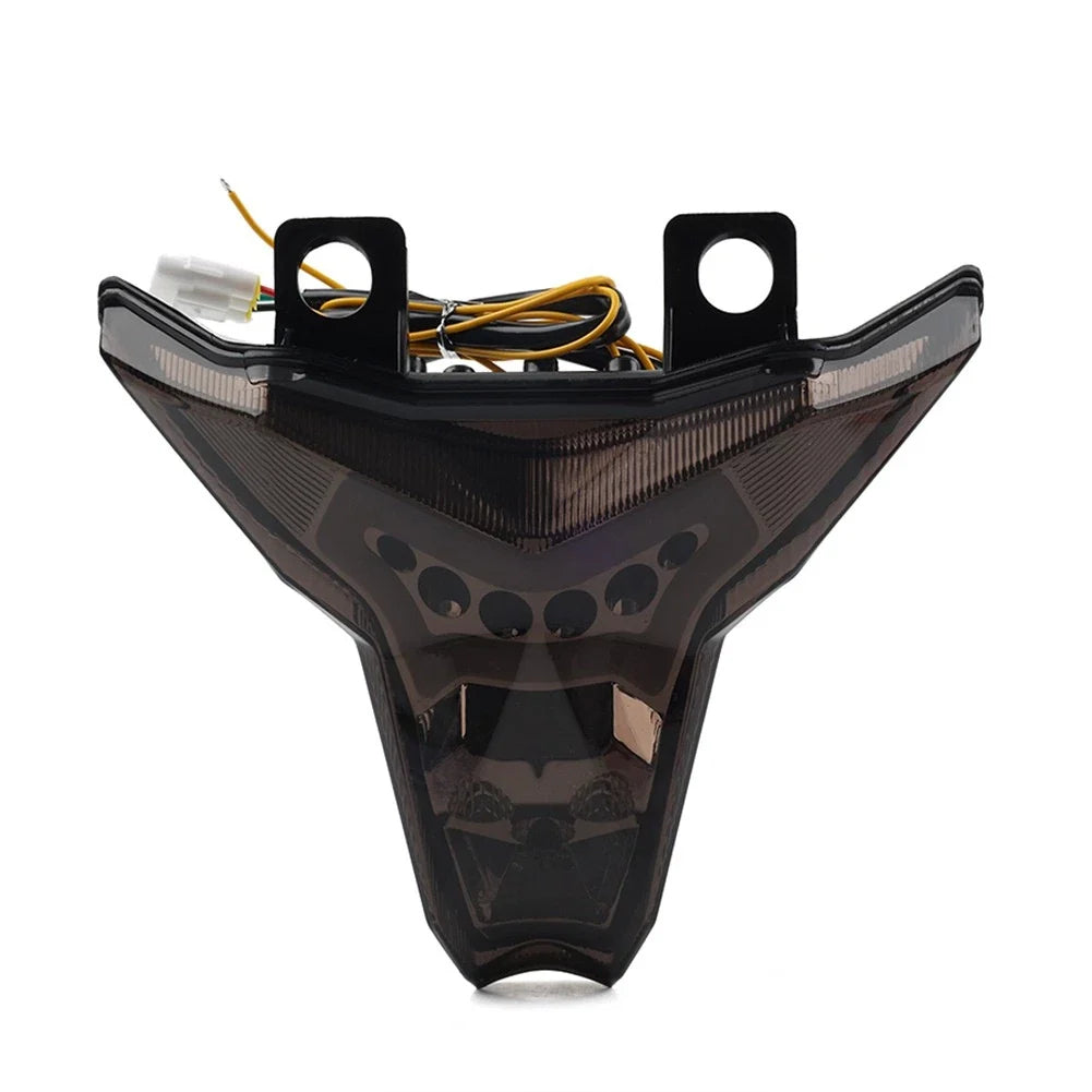 Integrated LED Tail Light Turn Signal for Kawasaki Z1000 (2014–2022) & Ninja ZX10R (2016–2022)