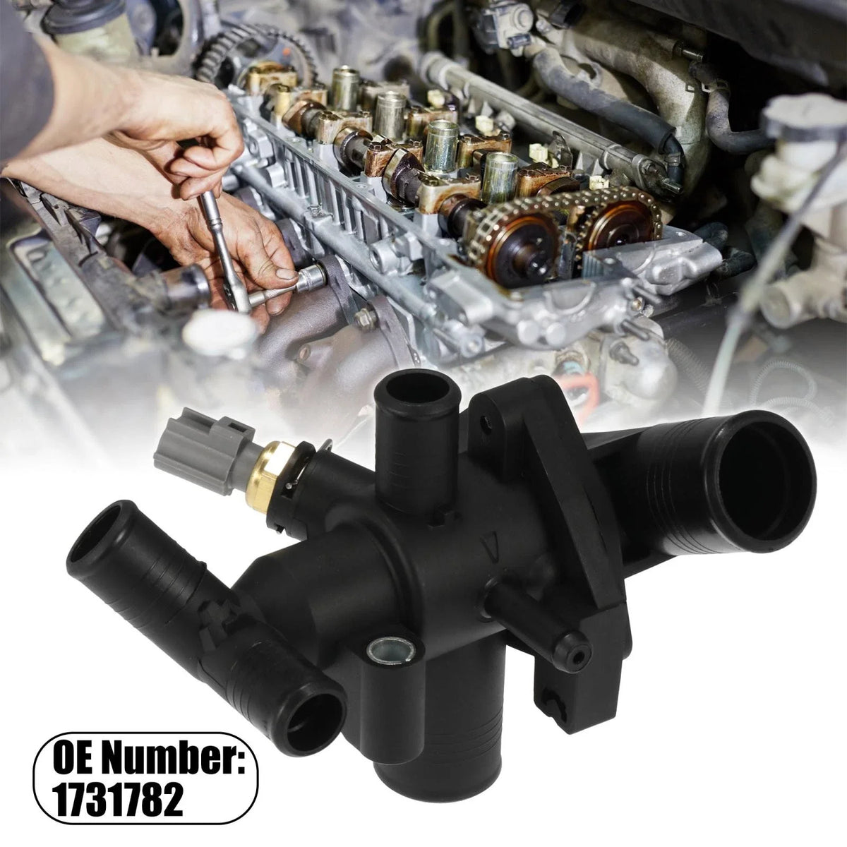 Thermostat Housing for Ford Transit MK7 MK8 2.2 RWD (2006–2014)