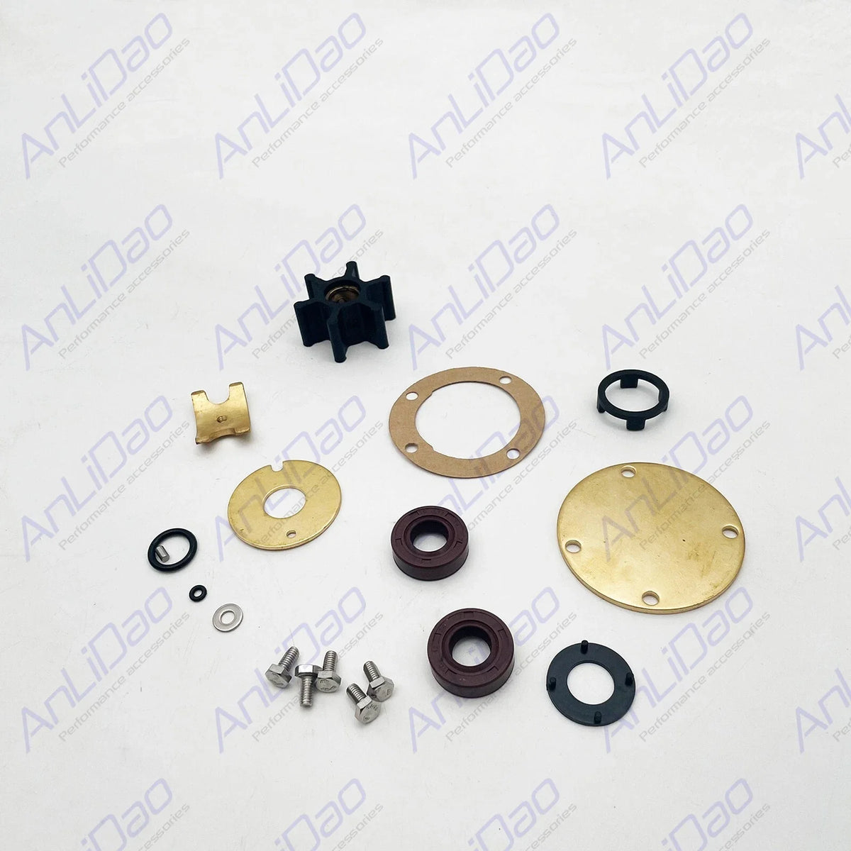 Internal Major Repair Kit for Volvo Penta Sea Water Pumps (21951368, 858065, 840557)