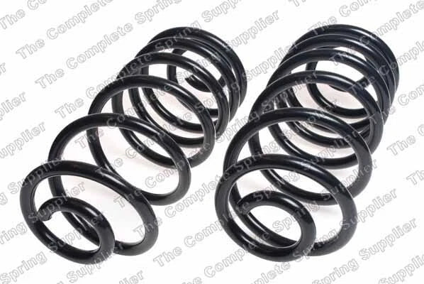 Rear Coil Spring Kit for Buick (4412134)