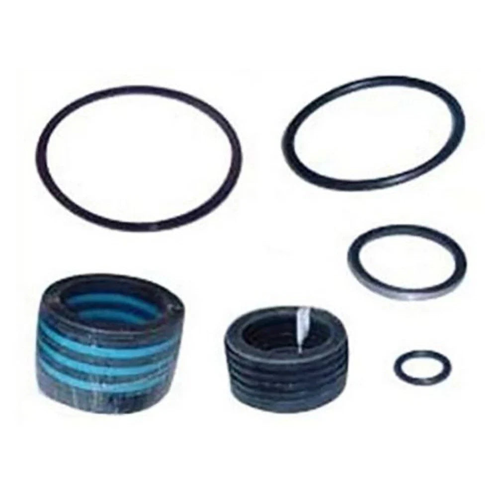 Hydraulic Cylinder Seal Kit for Ford/New Holland (Fits 251165, 309956)