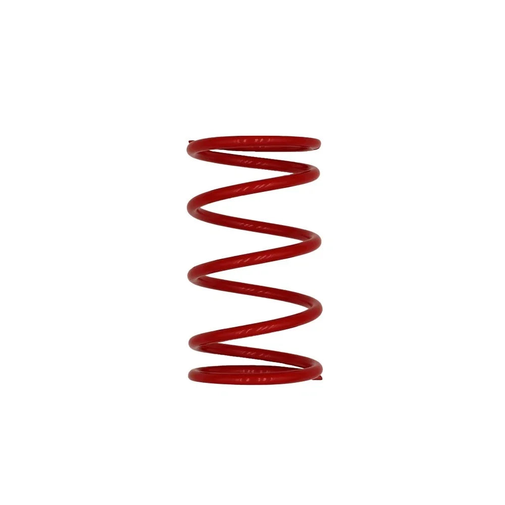 Clutch Spring Kit for E-Z-GO (Replaces CP-0101)
