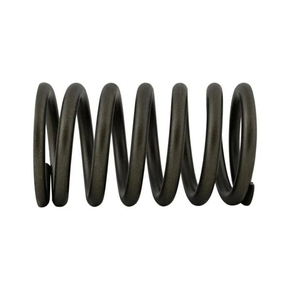 Valve Spring for New Holland R-E9NN6513BA (2.39")