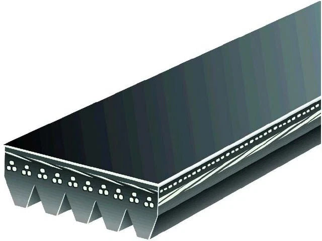 Multi Rib Belt for Jaguar XJS (1993–1996) WH792ZX