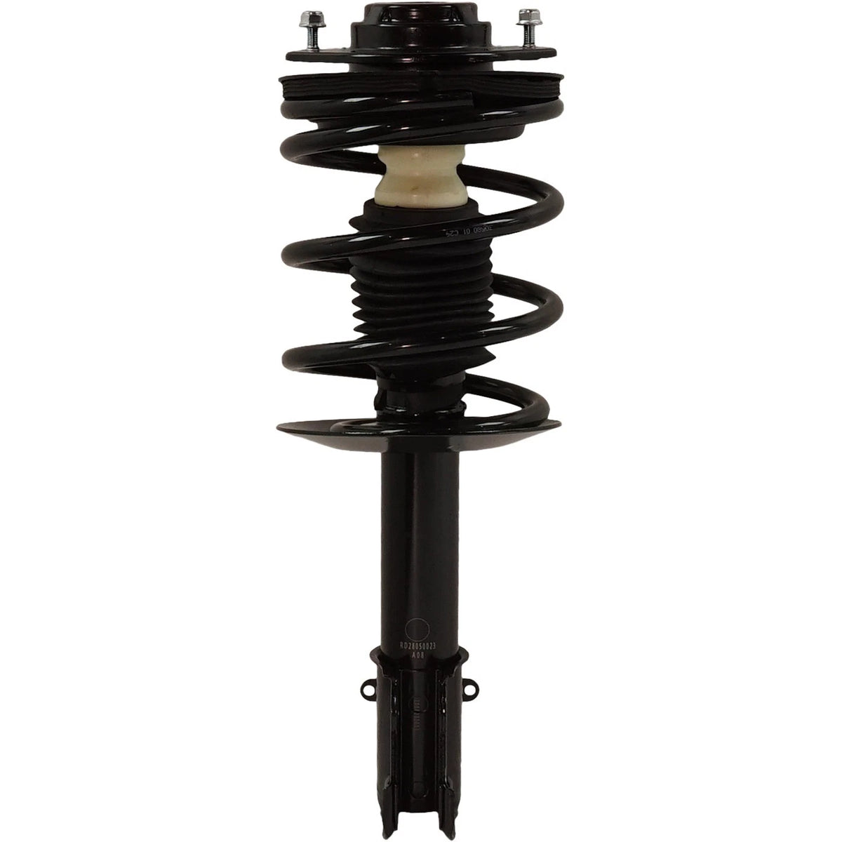 Strut Set of 2