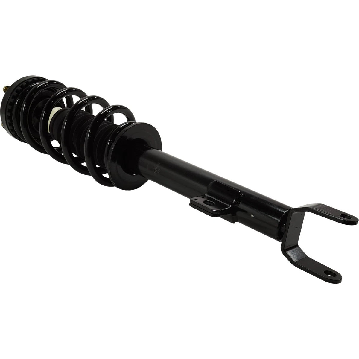 Loaded Struts for Dodge Charger (2011–2022) Front Driver & Passenger RWD 5.7L