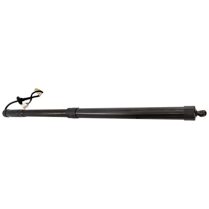 Liftgate Lift Supports Set of 2 for