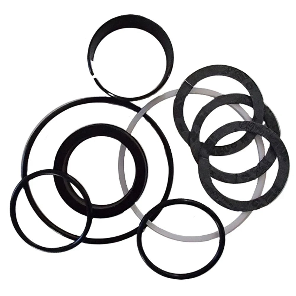 Hydraulic Cylinder Seal Kit for Case D42873 (Fits )