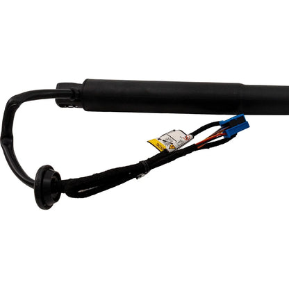 Lift Supports for MB Mercedes Liftgate (Both Sides Available)