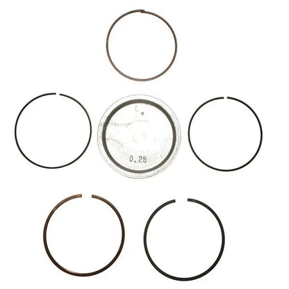 Piston Kit O/S 0 for Evinrude/Johnson DF40-DF50 Suzuki