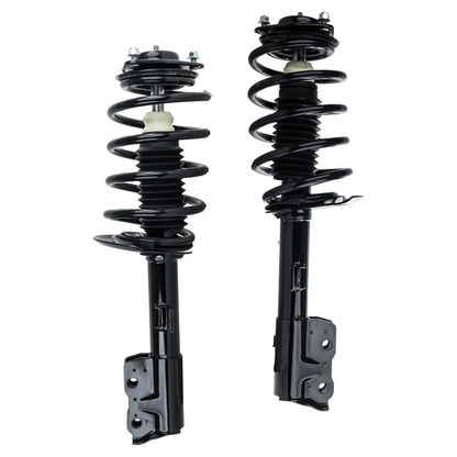Strut Set of 2