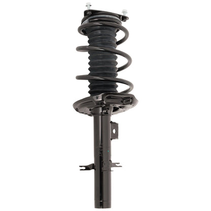Set of 2 Loaded Struts
