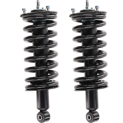 Set of 2 Loaded Struts for