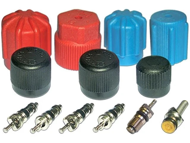 A/C System Valve Core and Cap Kit for Jaguar XJ12 (1973–1979, 1981–1992) FY979DD